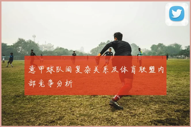 意甲球队间复杂关系及体育联盟内部竞争分析