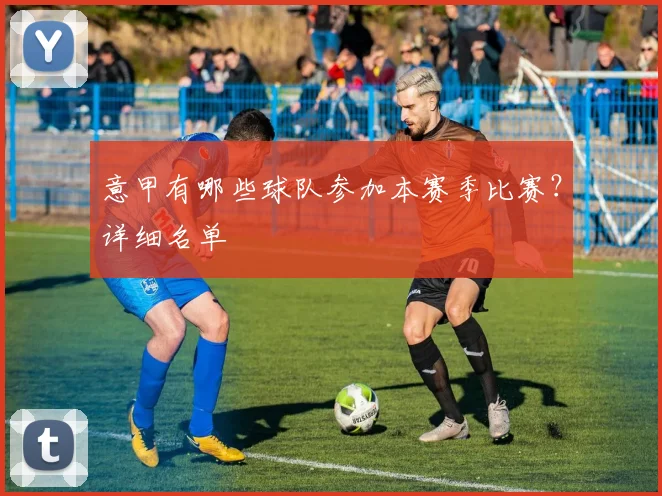 意甲有哪些球队参加本赛季比赛？详细名单
