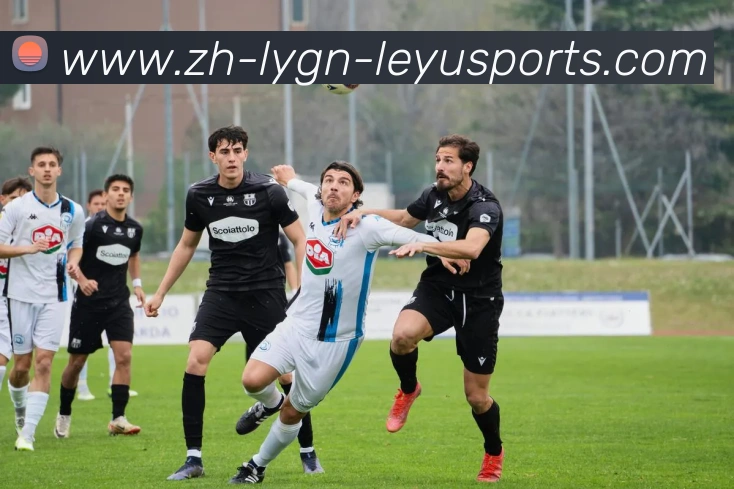 乐鱼体育品牌故事