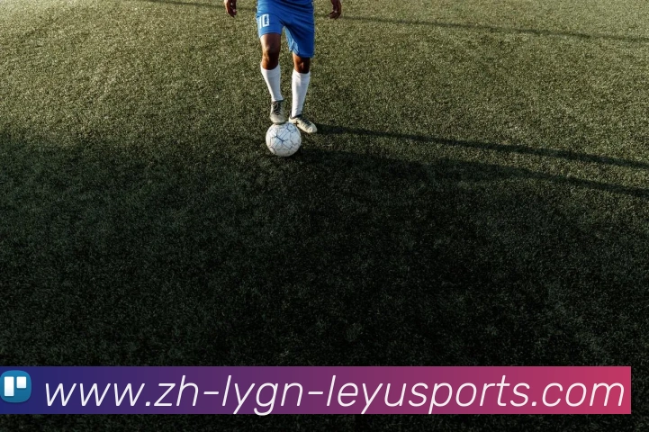 乐鱼体育服务体系